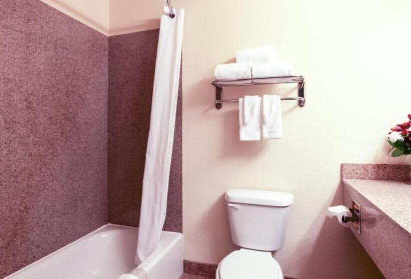 هتل Mountain Inn & Suites Airport   Hendersonville