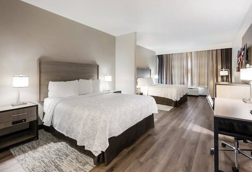 בית מלון כפרי Red Roof Inn Plus & Suites Birmingham   Bessemer