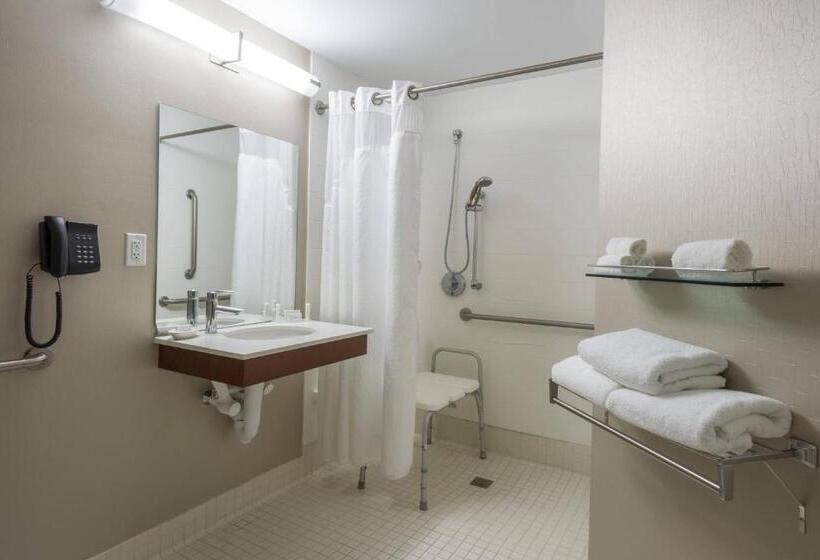בית מלון כפרי Springhill Suites Quakertown Pennsylvania