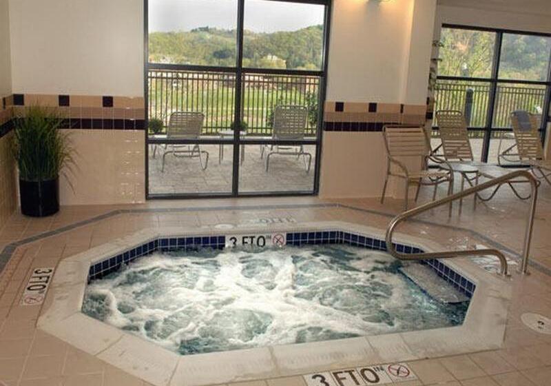 هتل Springhill Suites By Marriott Wheeling Triadelphia Area