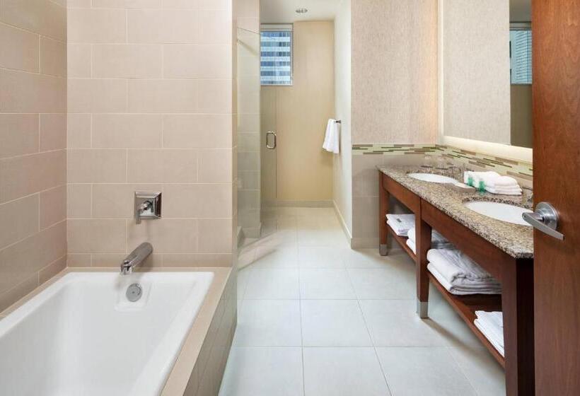 فندق The Westin Minneapolis
