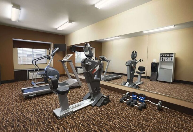Microtel Inn & Suites By Wyndham Odessa Tx