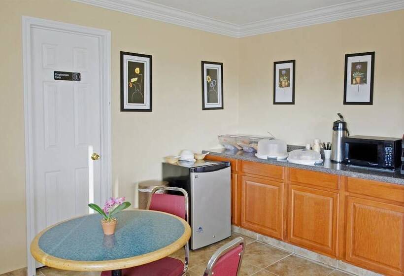 מוטל Americas Best Value Inn Gainesville, Tx