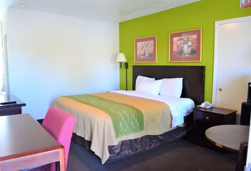 モーテル Budget Inn Falls Church