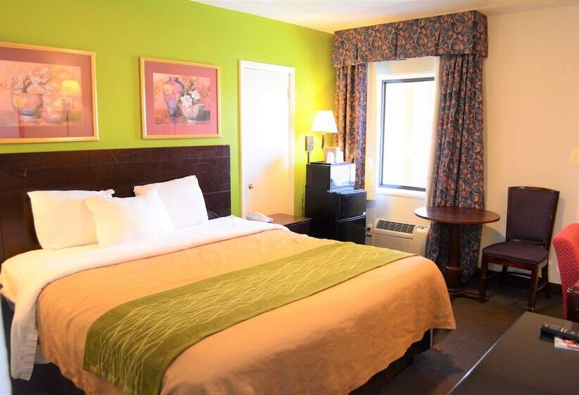 モーテル Budget Inn Falls Church