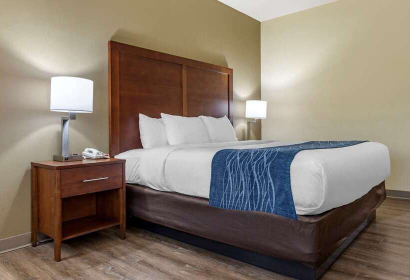 בית מלון כפרי Comfort Inn & Suites High Point  Archdale