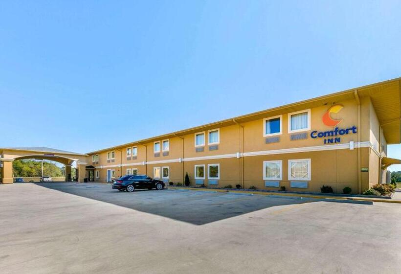 酒店 Comfort Inn Us 60 63