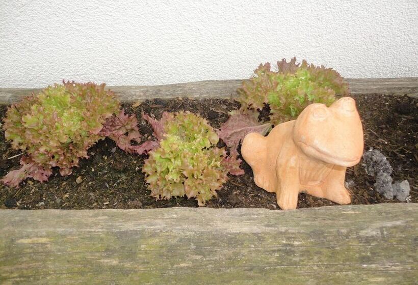 فندق Pension Traube