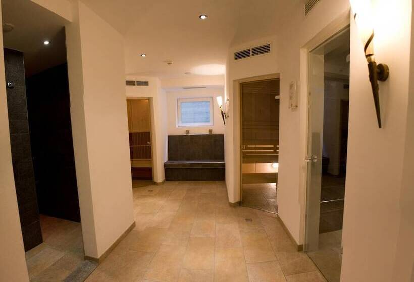 فندق Pension Traube