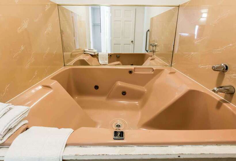 ホテル Rodeway Inn Beaumont