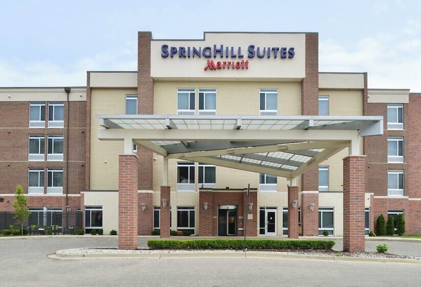 Springhill Suites By Marriott Detroit Metro Airport Romulus