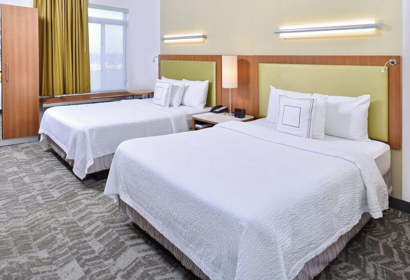 Springhill Suites By Marriott Detroit Metro Airport Romulus