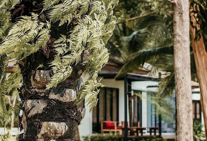منتجع The Mangrove By Blu Monkey