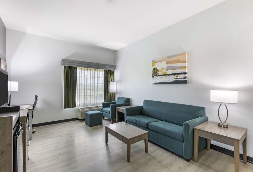 酒店 Best Western Plus Midamerica