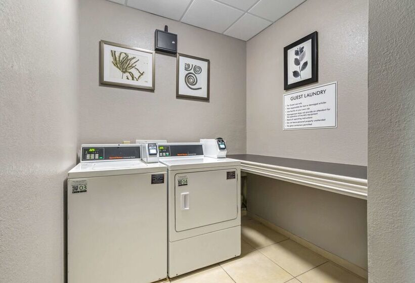 בית מלון כפרי Country Inn & Suites By Radisson, Tampa Airport North, Fl