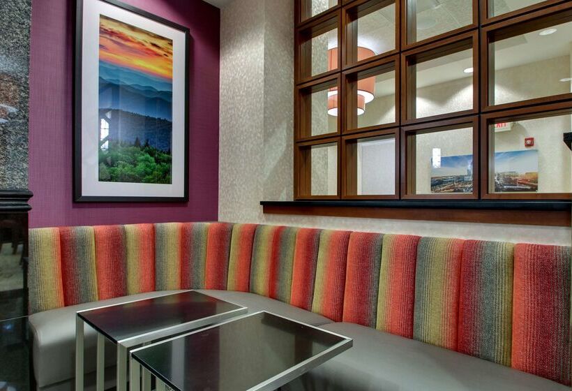 בית מלון כפרי Drury Inn & Suites Charlotte Northlake