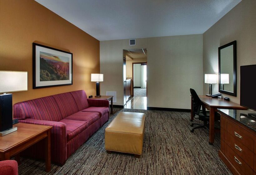 בית מלון כפרי Drury Inn & Suites Charlotte Northlake