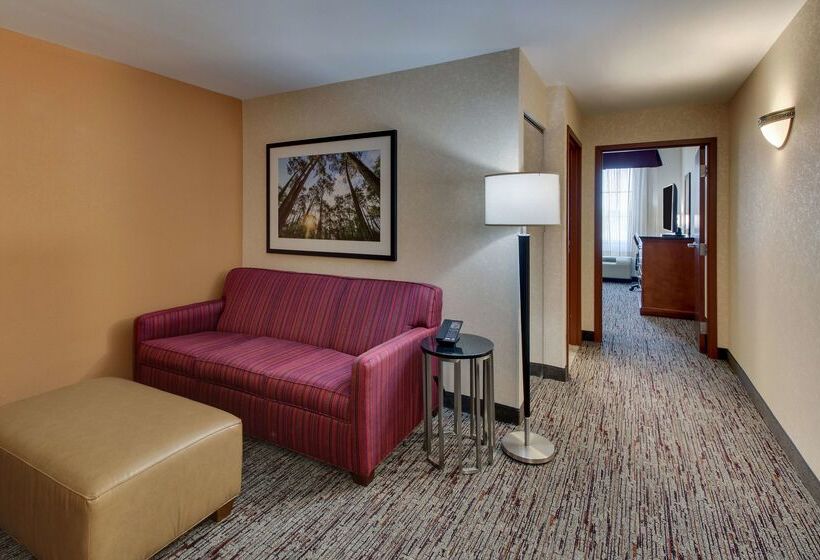 בית מלון כפרי Drury Inn & Suites Meridian