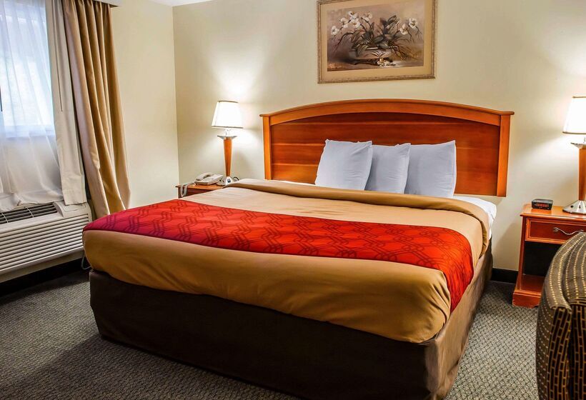 فندق Econo Lodge Jefferson Hills Hwy 51