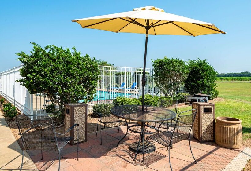 בית מלון כפרי Knights Inn Bunkie