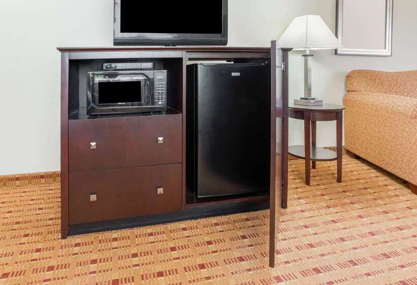 酒店 La Quinta By Wyndham Ennis