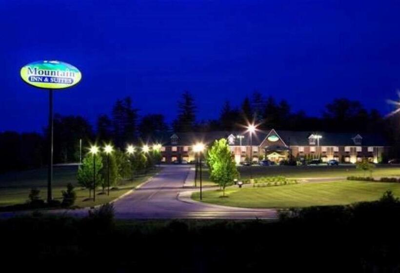 ホテル Mountain Inn & Suites Flat Rock