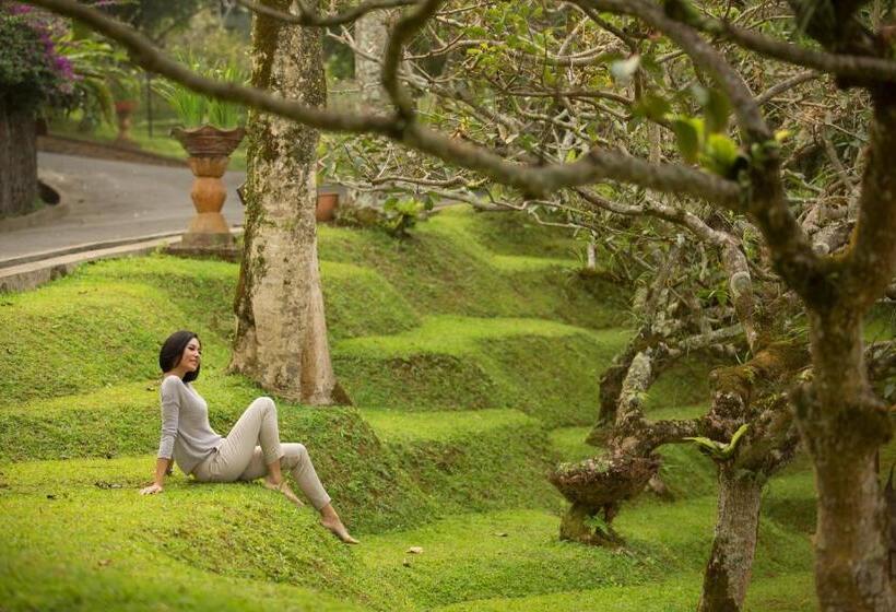 فندق Novus Giri Resort & Spa