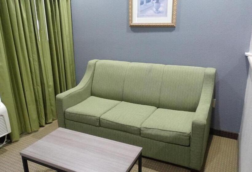هتل Regency Inn And Suites Humble