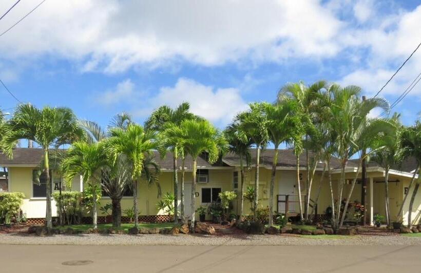 Kauai Palms