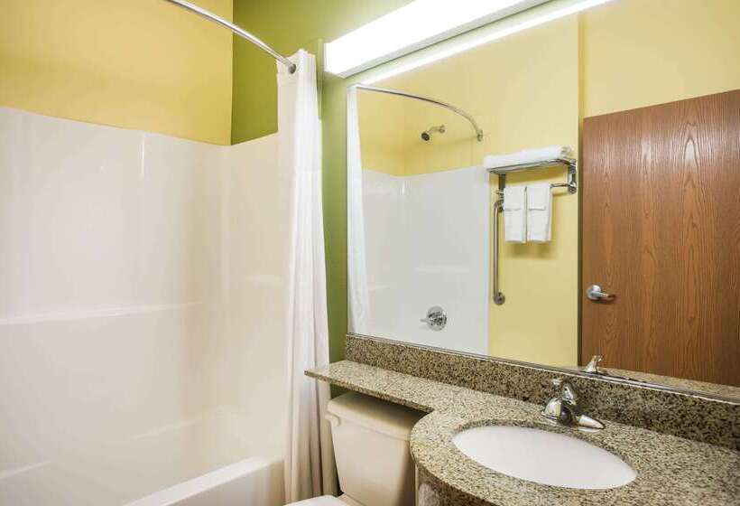 Microtel Inn And Suites By Wyndham