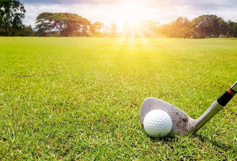 汽车旅馆  Budget Inn Of Lynchburg And Bedford