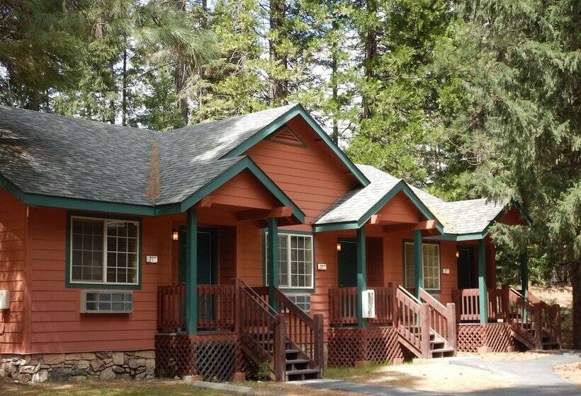 Mount Shasta Resort