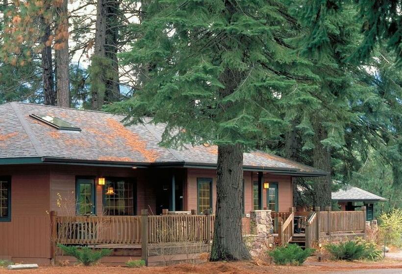 Mount Shasta Resort