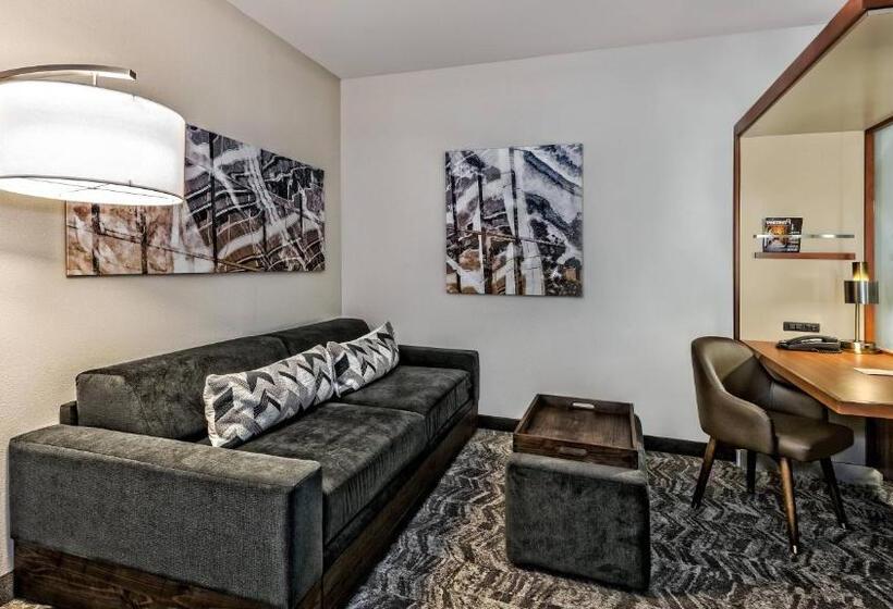Springhill Suites By Marriott San Antonio Airport