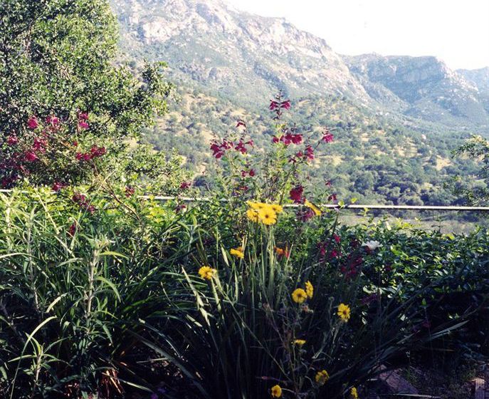 Bellevue Guesthouse