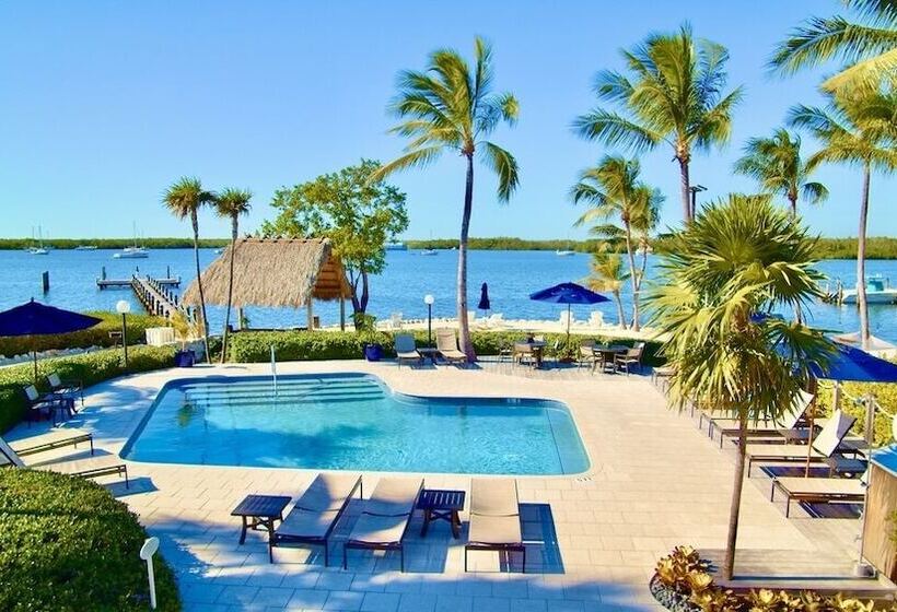 فندق Coconut Palm Inn