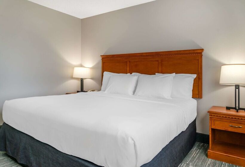 ホテル Country Inn & Suites By Radisson, Toledo South, Oh