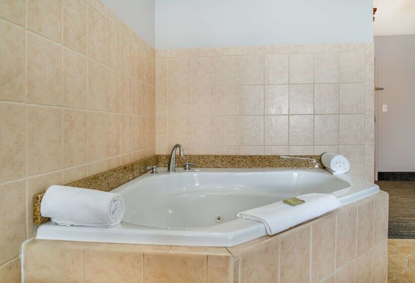 ホテル Country Inn & Suites By Radisson, Toledo South, Oh