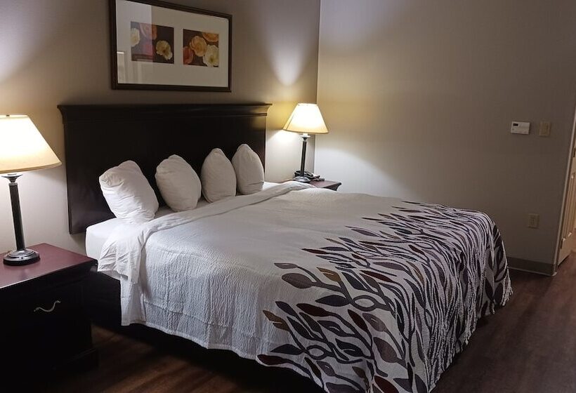 هتل Red Roof Inn & Suites Midland
