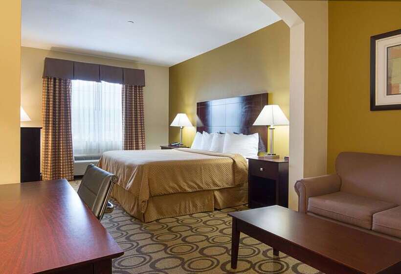 فندق Rodeway Inn & Suites