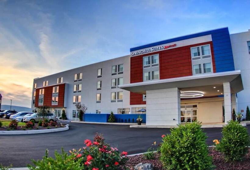 酒店 Springhill Suites By Marriott Scranton Montage Mountain