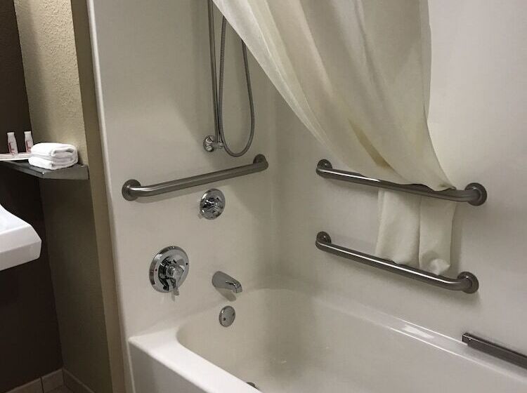 Microtel Inn & Suites By Wyndham Mansfield