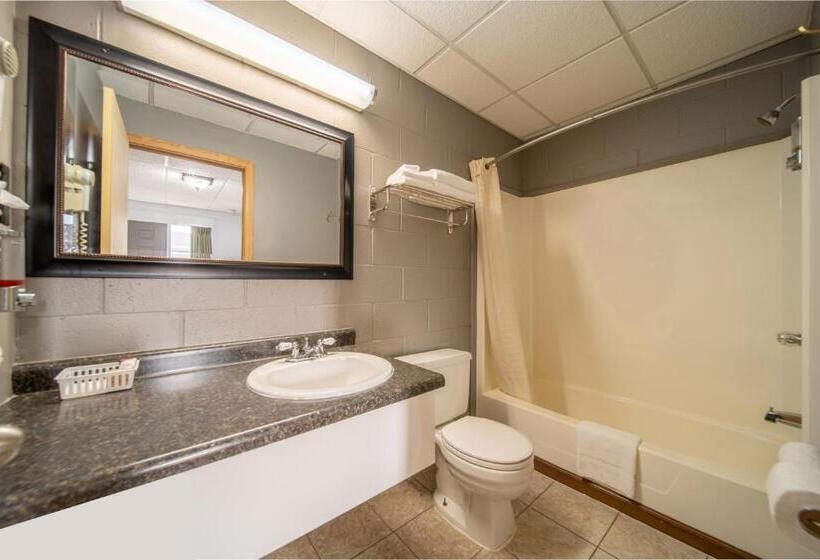 汽车旅馆  Sleep Ees Inn, Saginaw & Shields