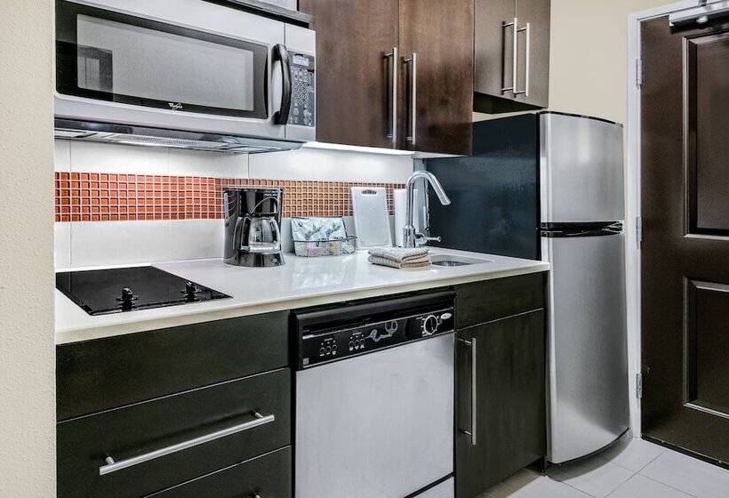 Towneplace Suites By Marriott San Antonio Downtown Riverwalk