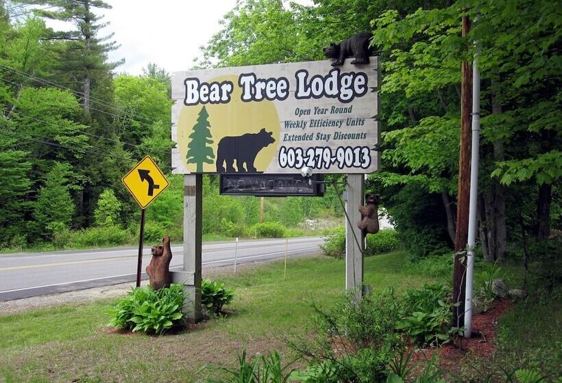 Bear Tree Lodge
