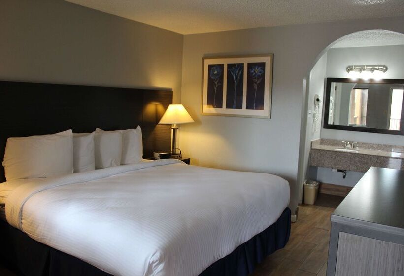 酒店 Americas Best Value Inn Medical Center Downtown