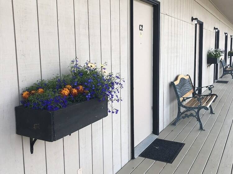 בית מלון כפרי Denali Park