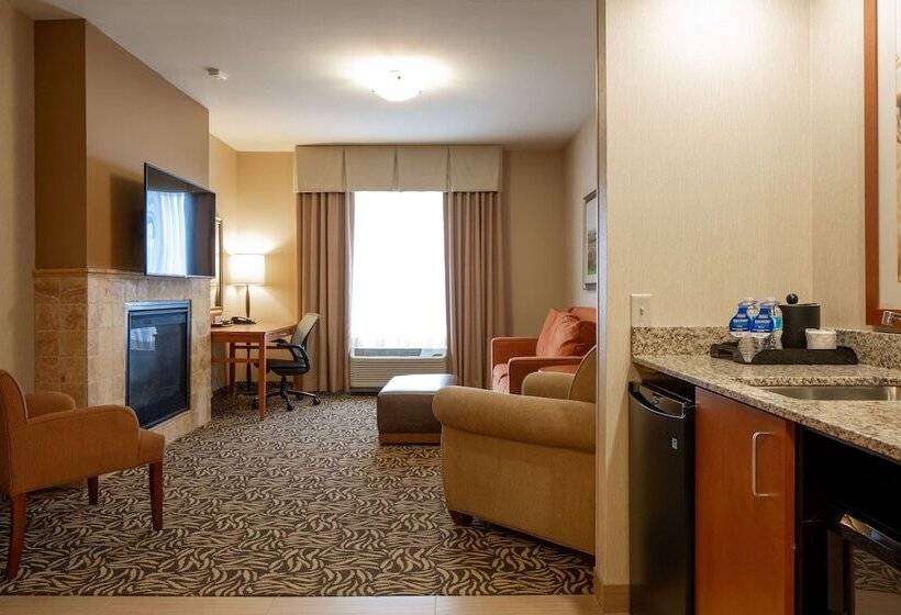 בית מלון כפרי Hilton Garden Inn Cedar Falls