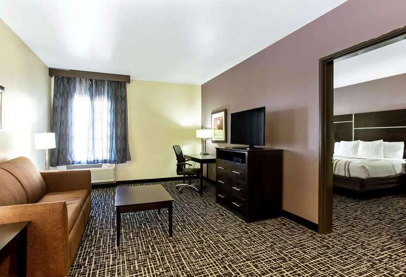 هتل La Quinta By Wyndham Denver Gateway Park
