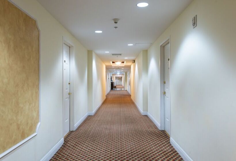 Miami Coral Gables Apartment
